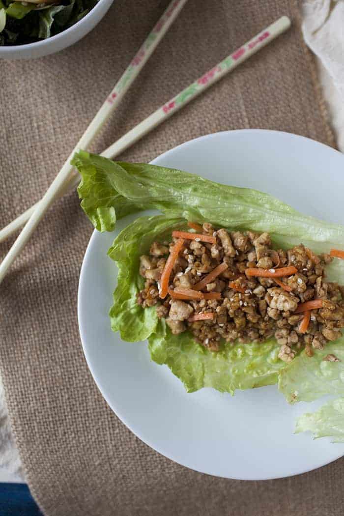 Whether you're a meat lover, vegetarian or vegan, this is a lettuce wrap recipe you'll love. This easy recipe is quick and takes only a few ingredients!