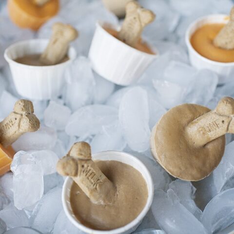Make these homemade doggie treats this summer for your pet! These sweet potato and banana pupsicles are the perfect treat to beat the summer heat.