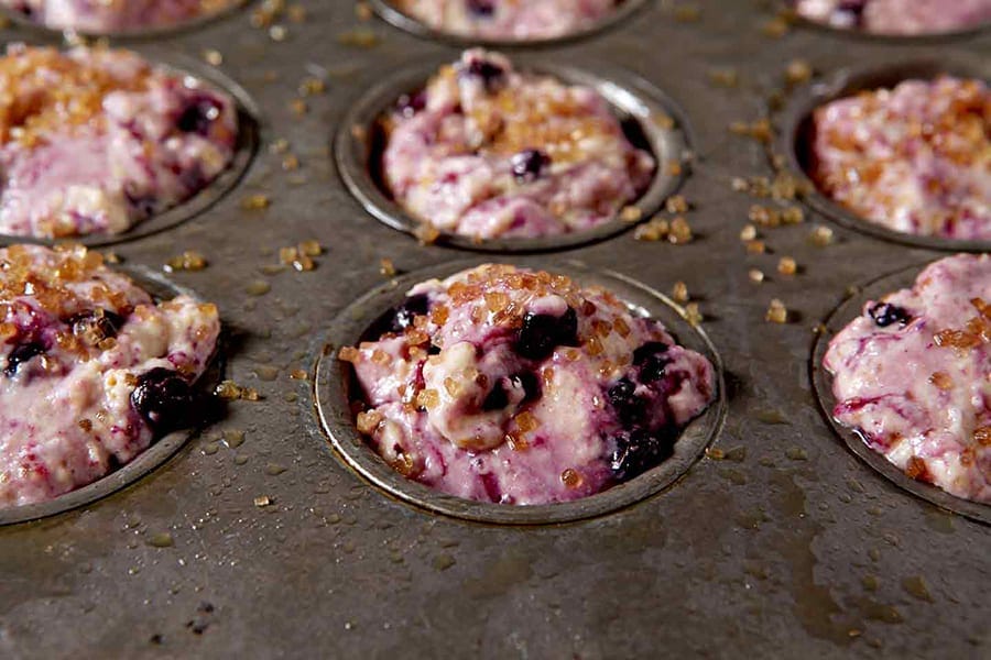 Mini Meyer Lemon Blueberry Muffins make the best winter breakfast for adults and kids alike! Low in sugar, these whole wheat muffins bake up quickly and add lemony goodness to the morning routine. Frozen wild blueberries, Meyer lemon zest and lemon juice serve as key flavor components of these muffins, which are also dairy-free. Naturally sweet, dairy free and tart, Mini Meyer Lemon Blueberry Muffins will become your family's favorite breakfast! blueberry muffins | kids blueberry muffins | kid muffins | lemon muffins | lemon blueberry | toddler muffins | toddler breakfast ideas | playdate ideas | playdate recipes