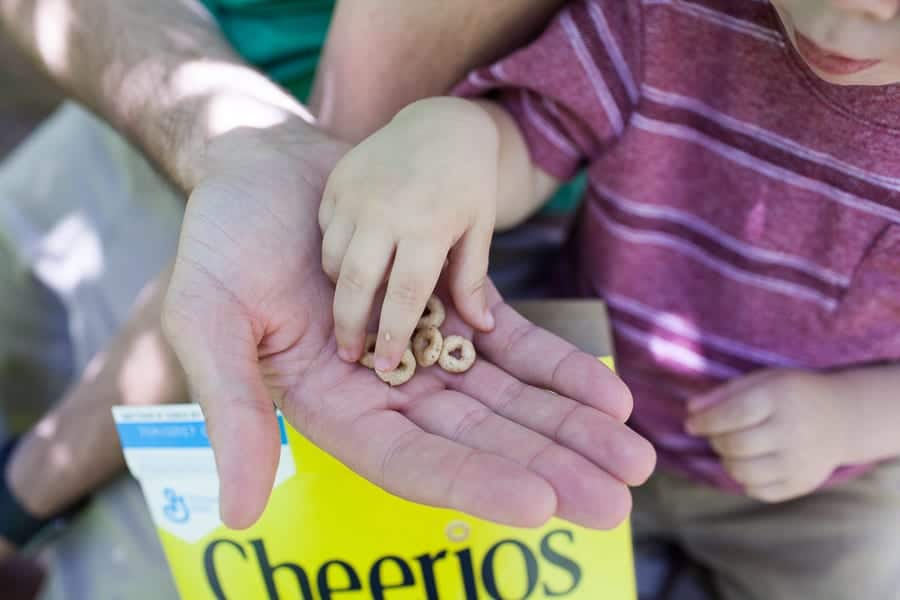 Making Memories with a Toddler, a child is holding a box of cheerios.