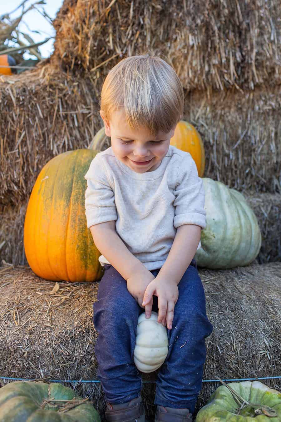 A young boy sitting in front of hay bales with pumpkins.