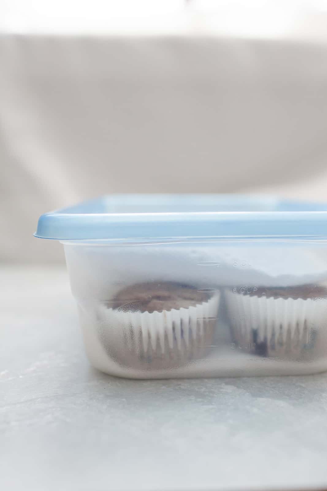 muffins in a sealed tupperware with paper towels