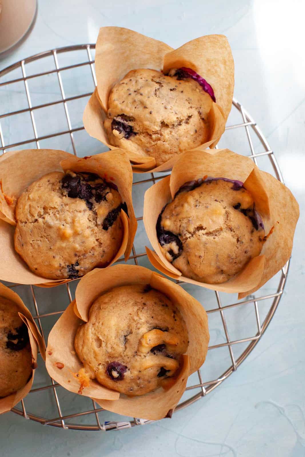 closeup of blueberry muffins in brown muffin papers