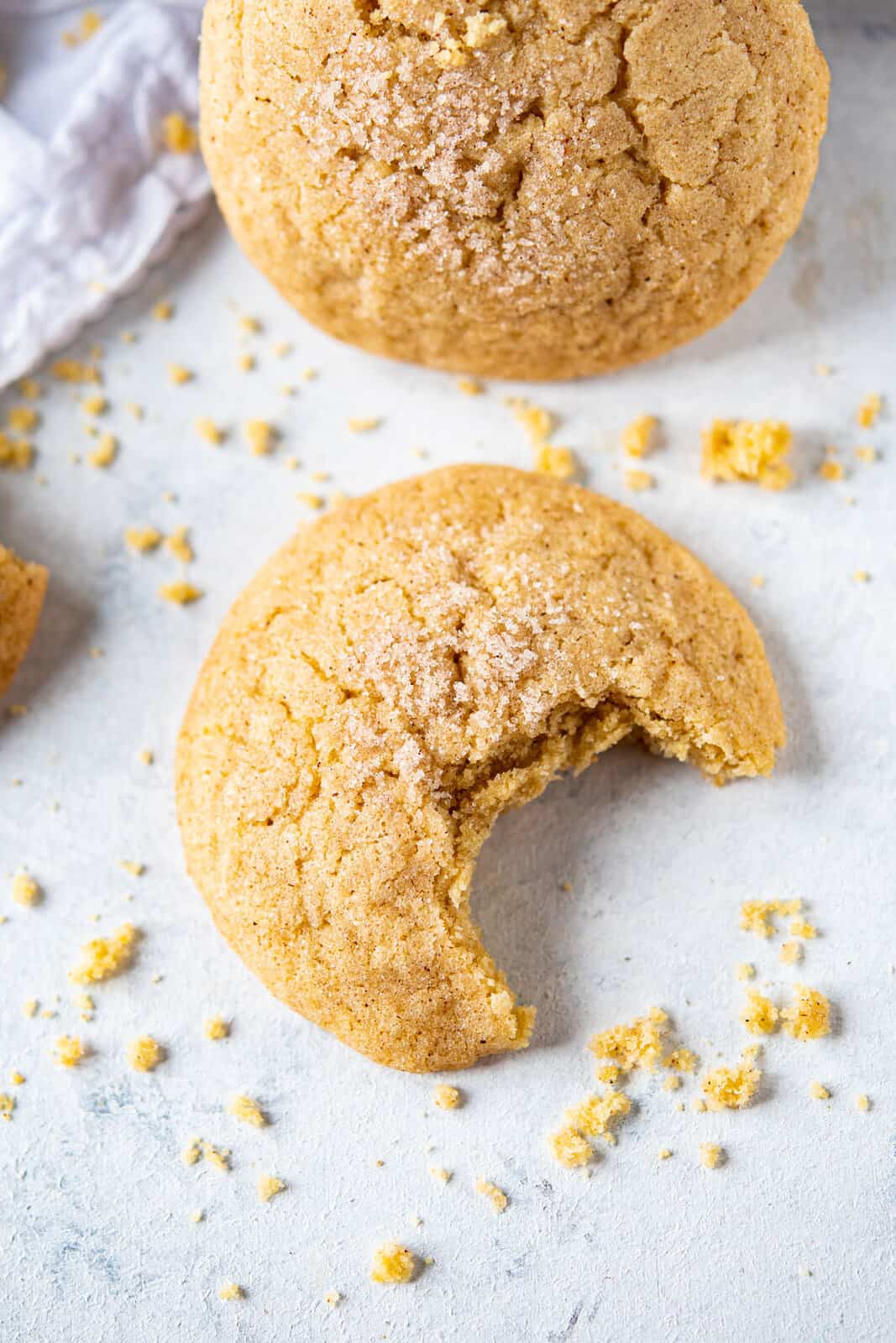 A cinnamon cookie with a bite out and crumbs around it.