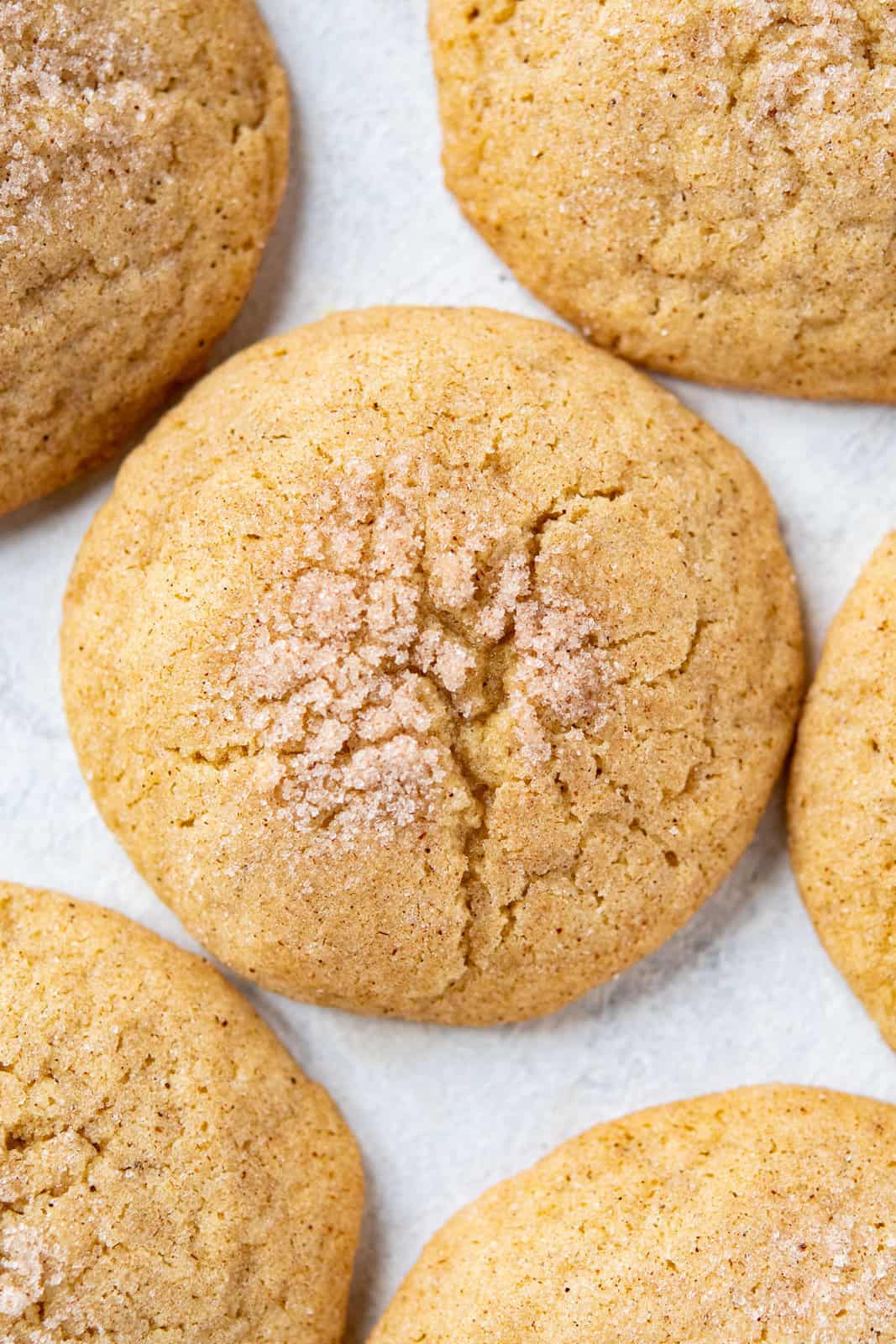 a closeup of a crackled cookie with cinnamon on top.