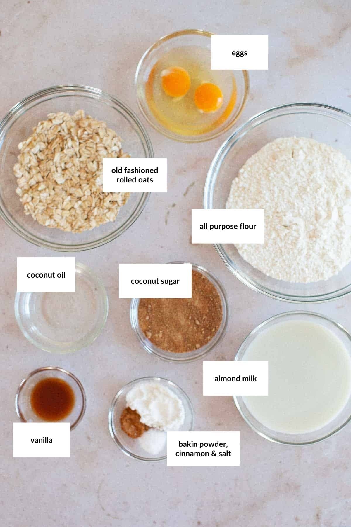 Bowls containing labeled ingredients for a Basic Muffin Recipe: eggs, old fashioned rolled oats, all purpose flour, coconut oil, coconut sugar, almond milk, vanilla, baking powder, cinnamon, and salt on a white surface.