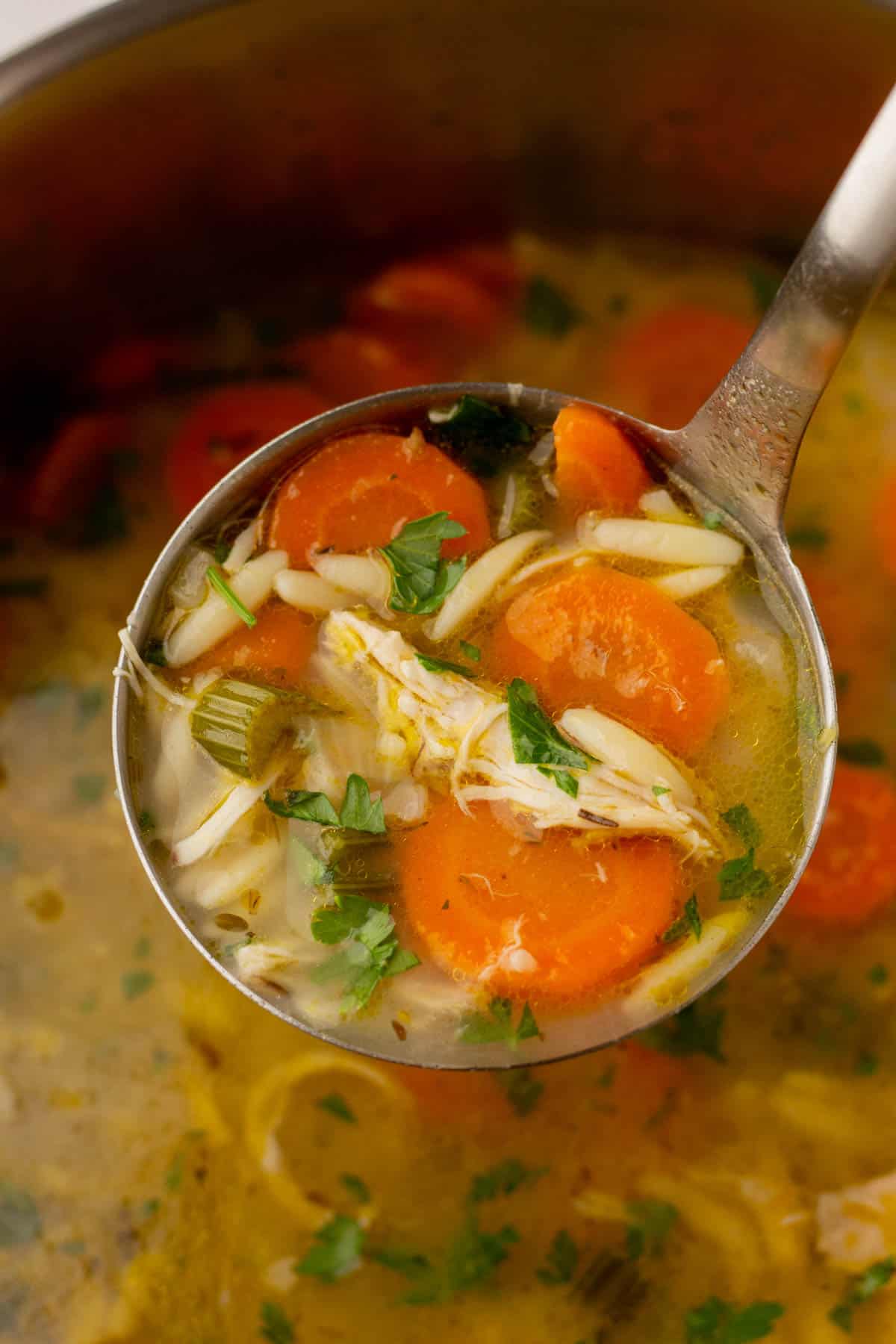 A ladle of chicken orzo soup with carrots and parsley hovering over a pot of more soup.