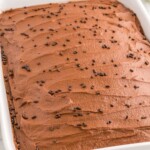 Chocolate cake in a rectangular white dish, topped with chocolate buttercream and sprinkles. A bowl of additional sprinkles is in the background.
