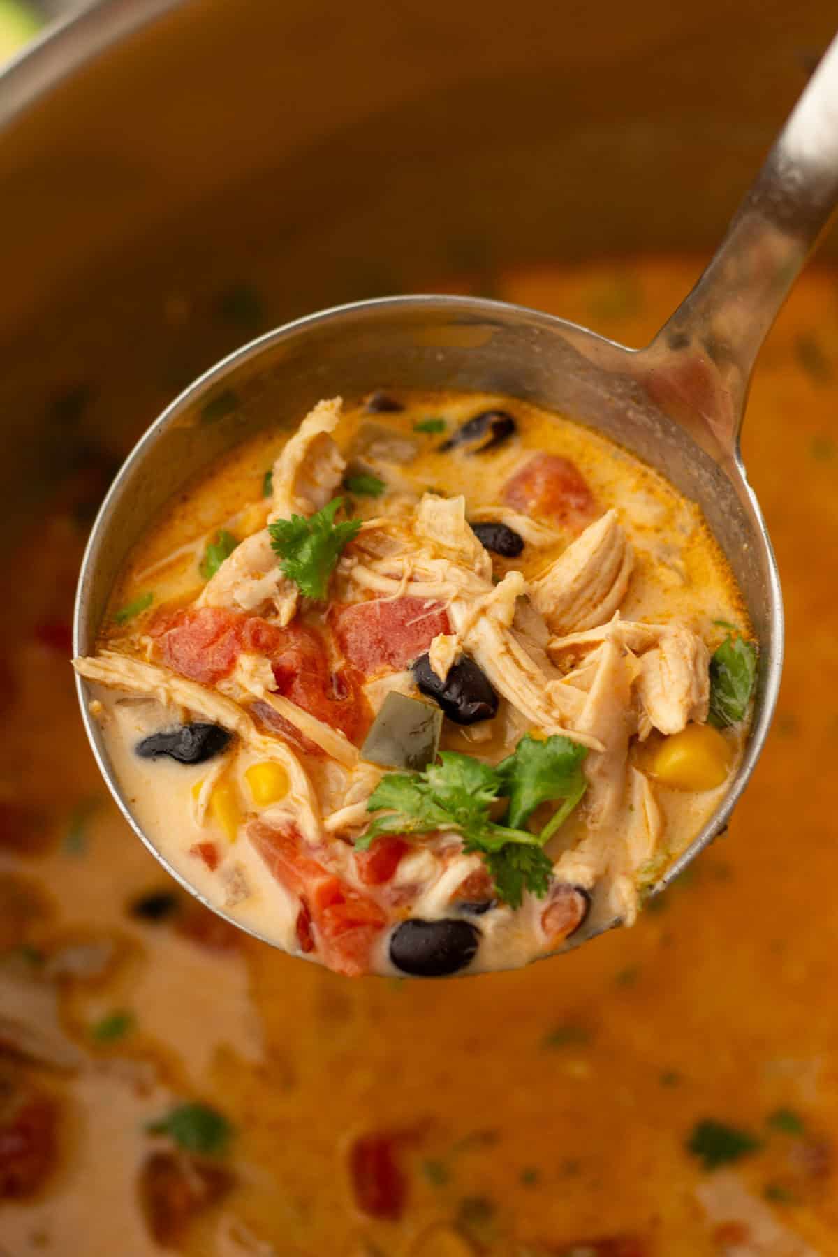 A ladle serves a creamy soup with shredded chicken, tomatoes, black beans, corn, and herbs in a pot.