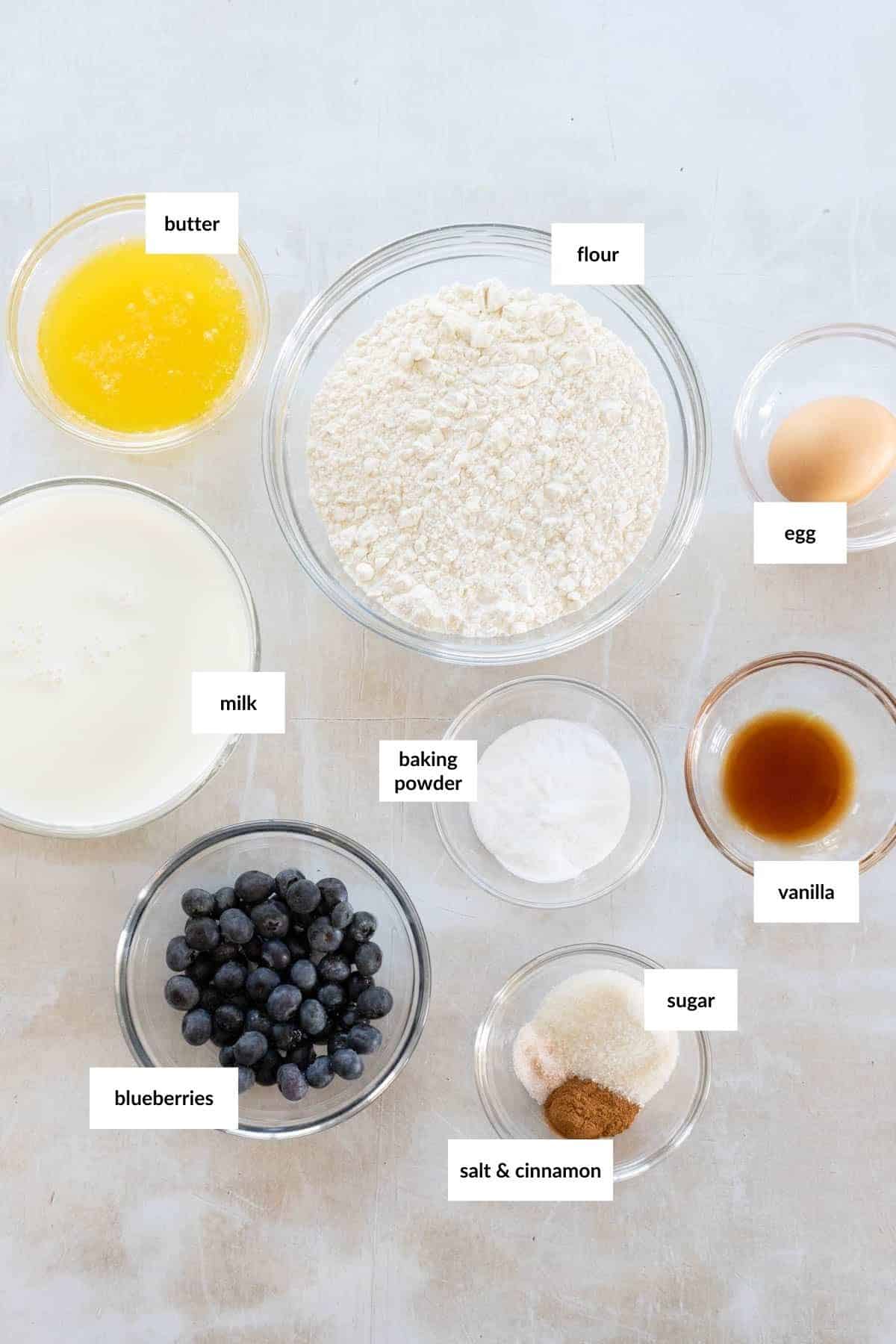 Ingredients for a recipe arranged on a surface: flour, egg, butter, milk, blueberries, sugar, baking powder, salt, cinnamon, and vanilla.