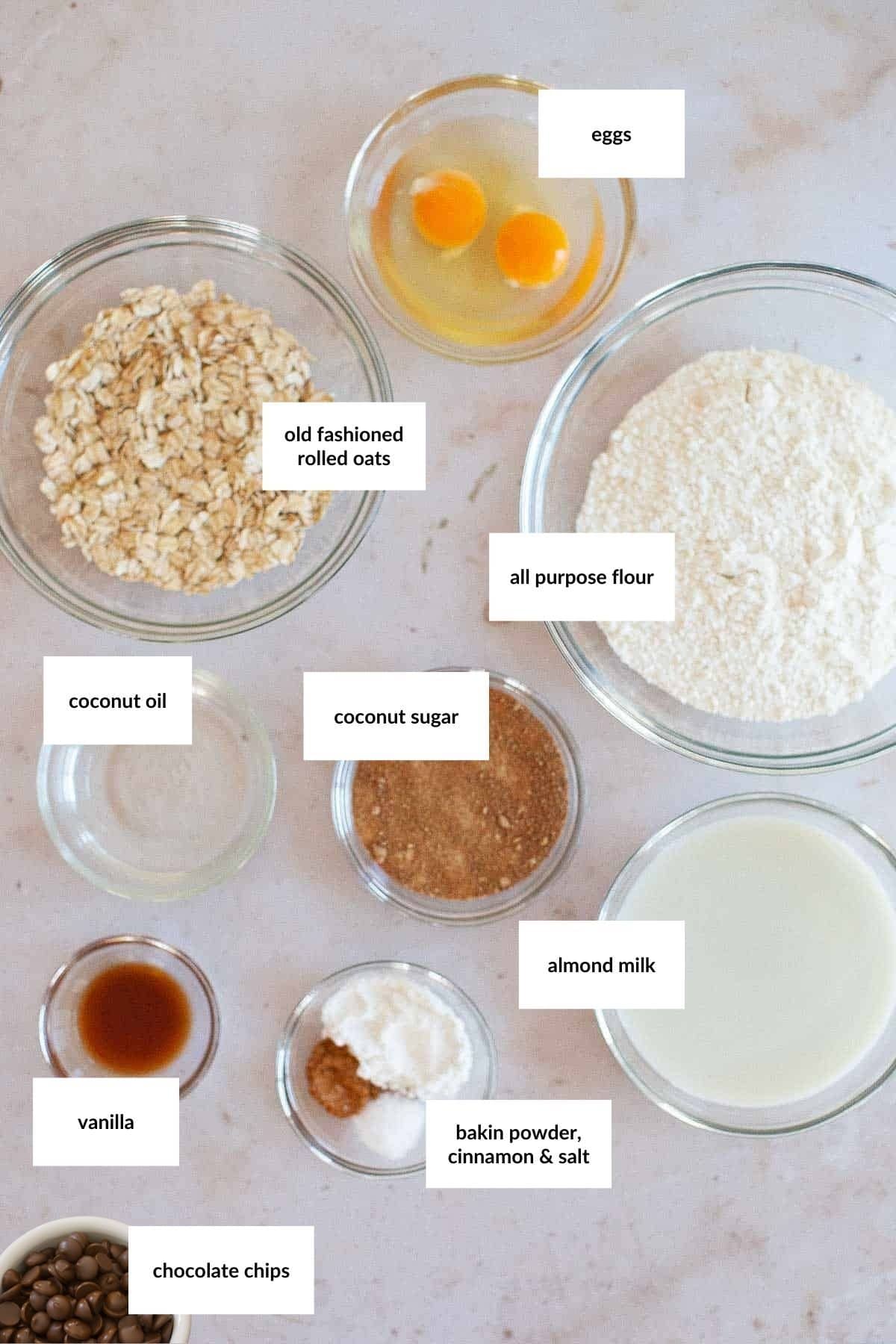 Top-down view of labeled baking ingredients in bowls for chocolate chip muffins, including eggs, rolled oats, flour, coconut oil, coconut sugar, almond milk, vanilla, baking powder mix, and chocolate chips.