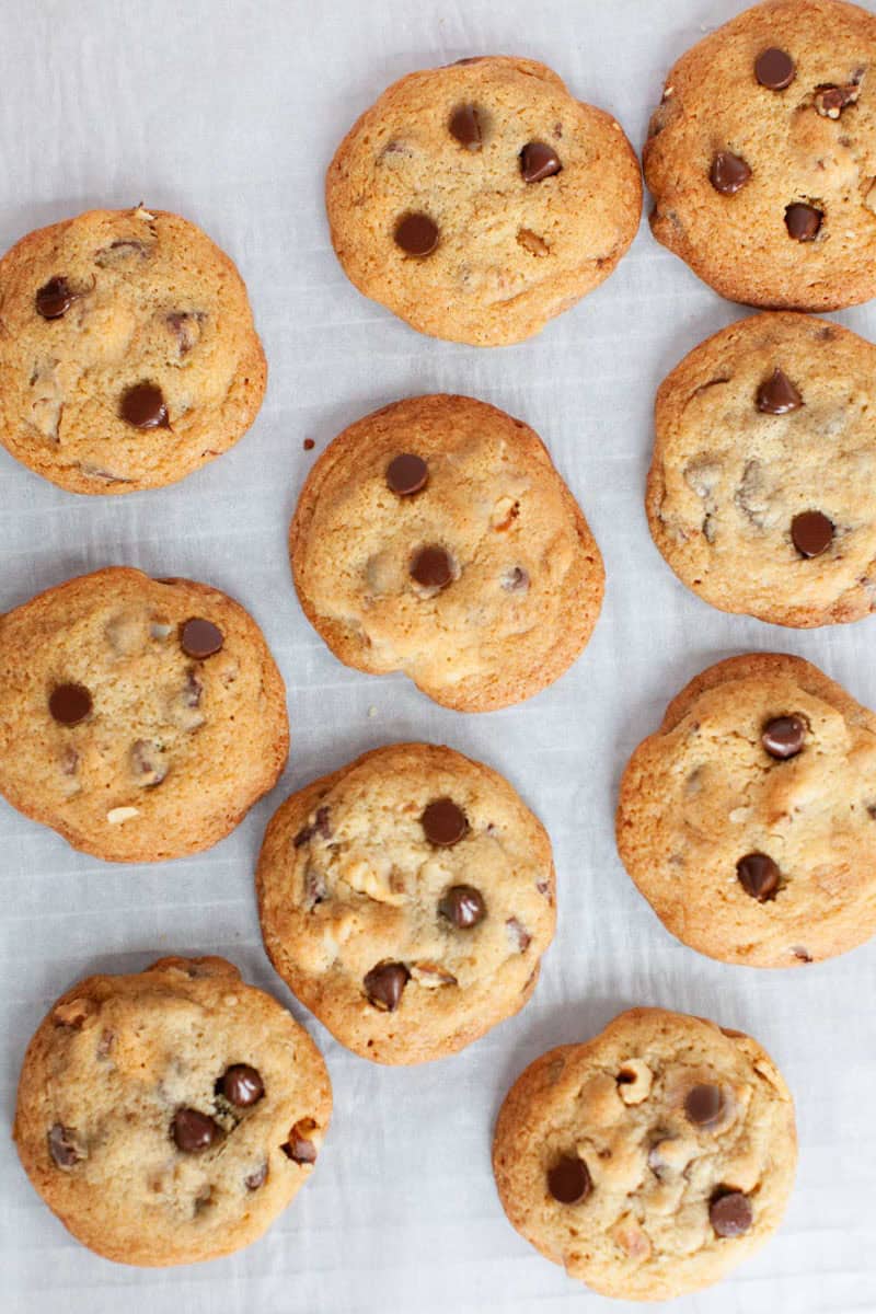 Ten chocolate chip cookies are arranged on a sheet of parchment paper, spaced apart in a grid-like pattern.