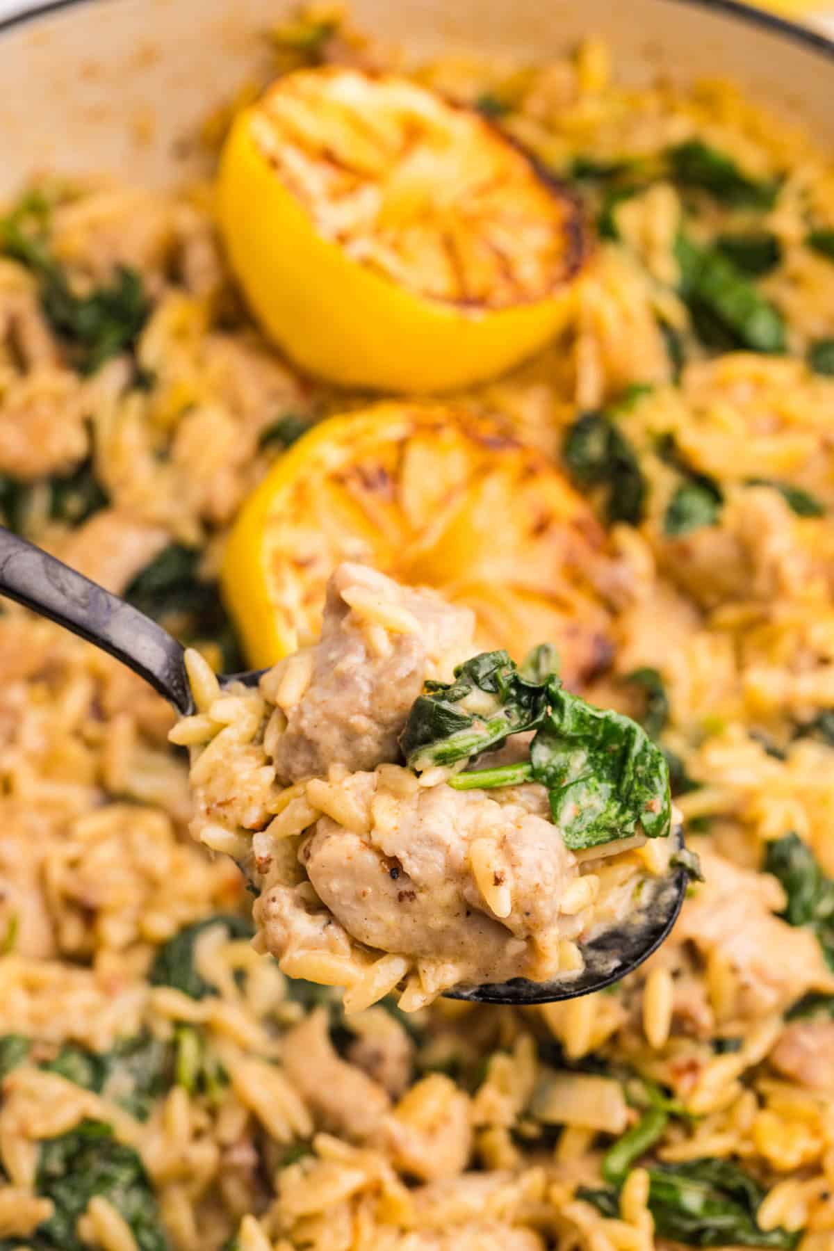 A close-up of a spoonful of creamy orzo pasta with spinach and chicken, with a pot of the same dish in the background and grilled lemon halves on top.