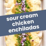 Baked sour cream chicken enchiladas topped with melted cheese, green sauce, chopped red onions, cilantro, and sliced jalapeños in a white dish.