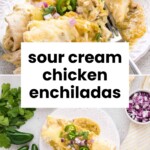 Two plates of sour cream chicken enchiladas topped with green sauce, sliced jalapeños, and red onions, with cilantro and jalapeños on the side.
