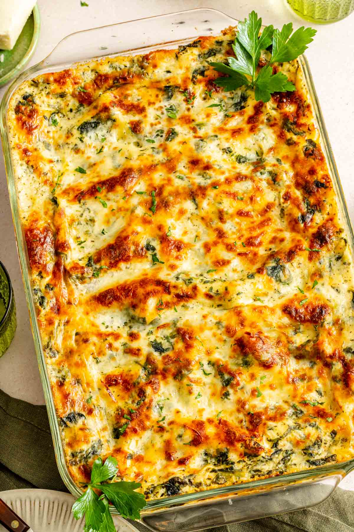 A baked chicken alfredo lasagna in a rectangular glass dish, topped with melted golden cheese and garnished with fresh parsley.