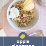 A bowl of apple cinnamon overnight oats topped with apple slices and yogurt, placed on a light surface with cinnamon sticks and a jar in the background.