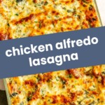 Baked chicken alfredo lasagna in a rectangular dish, topped with melted cheese and herbs, with a garnish of parsley in the corner.
