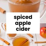 A clear mug of spiced apple cider with a cinnamon stick, poured from a ladle, surrounded by cinnamon sticks and apples.
