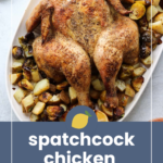A roasted spatchcock chicken on a platter surrounded by roasted potatoes and Brussels sprouts, with text reading “spatchcock chicken recipe.”.