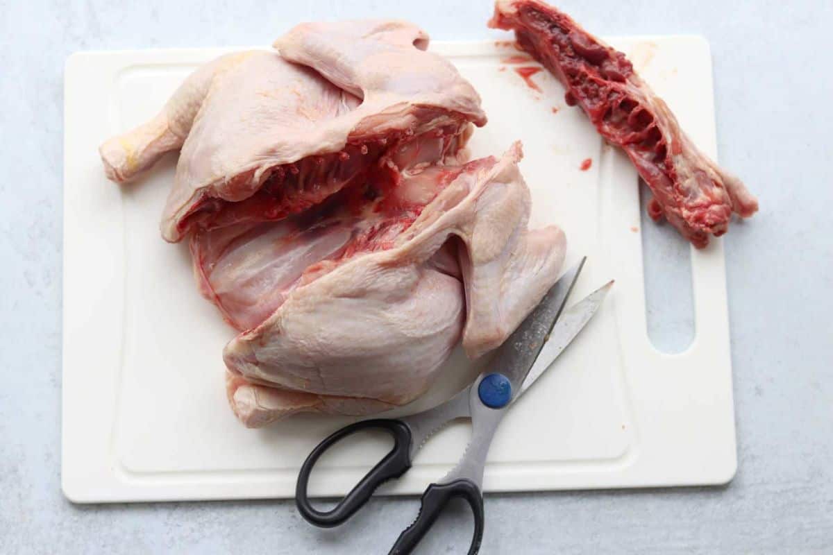 A whole chicken prepared for a spatchcock chicken recipe with its backbone.
